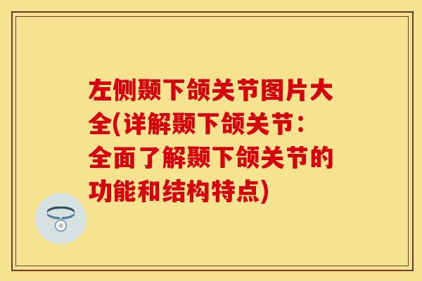 左侧颞下颌关节图片大全(详解颞下颌关节：全面了解颞下颌关节的功能和结构特点)