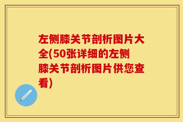 左侧膝关节剖析图片大全(50张详细的左侧膝关节剖析图片供您查看)