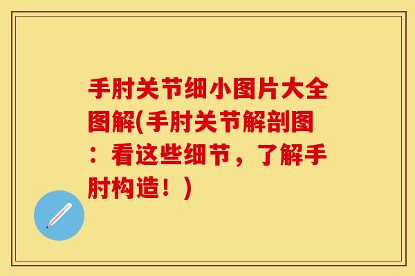 手肘关节细小图片大全图解(手肘关节解剖图：看这些细节，了解手肘构造！)