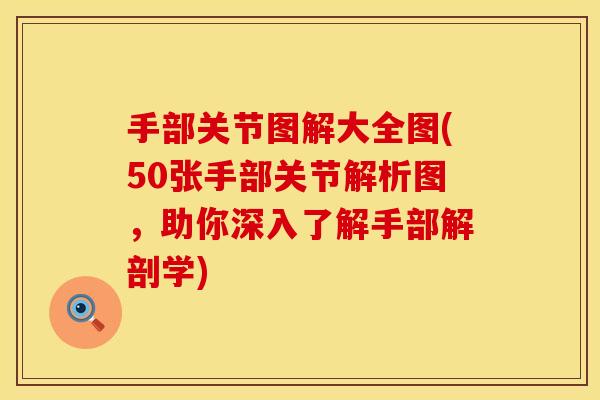 手部关节图解大全图(50张手部关节解析图，助你深入了解手部解剖学)