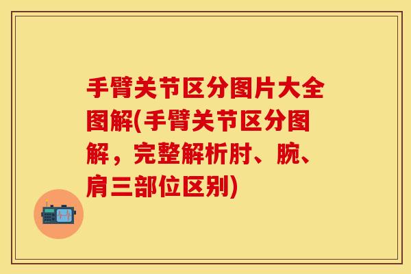手臂关节区分图片大全图解(手臂关节区分图解，完整解析肘、腕、肩三部位区别)
