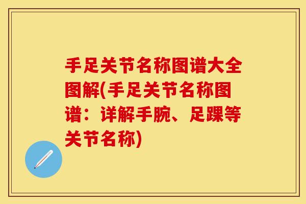 手足关节名称图谱大全图解(手足关节名称图谱：详解手腕、足踝等关节名称)