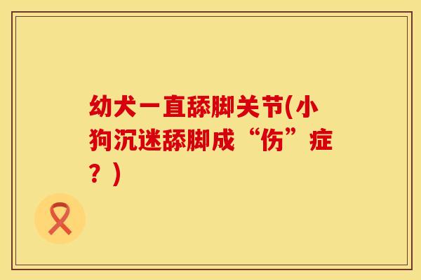 幼犬一直舔脚关节(小狗沉迷舔脚成“伤”症？)
