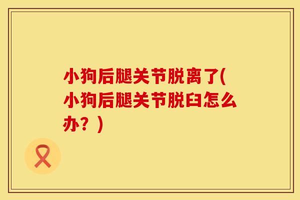 小狗后腿关节脱离了(小狗后腿关节脱臼怎么办？)