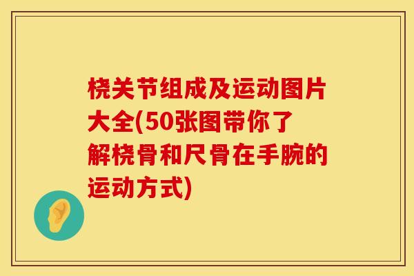 桡关节组成及运动图片大全(50张图带你了解桡骨和尺骨在手腕的运动方式)