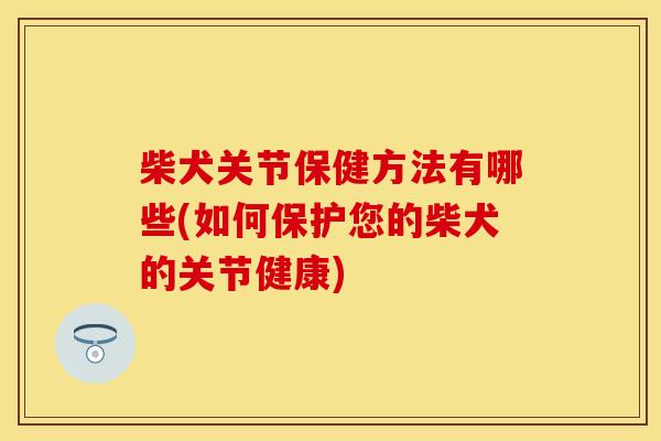 柴犬关节保健方法有哪些(如何保护您的柴犬的关节健康)