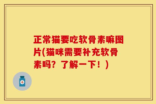 正常猫要吃软骨素嘛图片(猫咪需要补充软骨素吗？了解一下！)