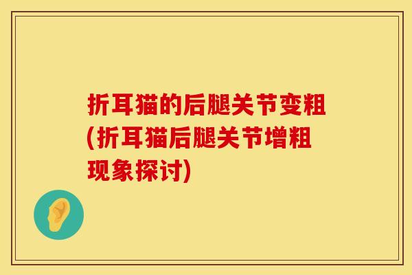 折耳猫的后腿关节变粗(折耳猫后腿关节增粗现象探讨)