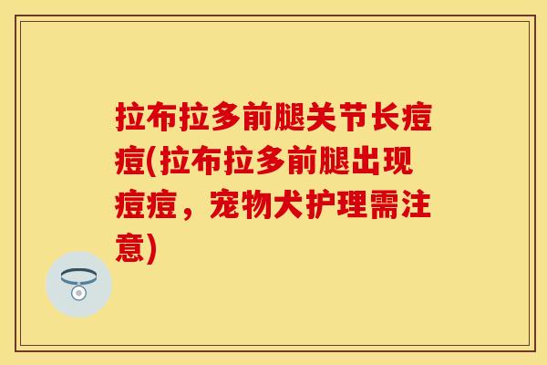 拉布拉多前腿关节长痘痘(拉布拉多前腿出现痘痘，宠物犬护理需注意)