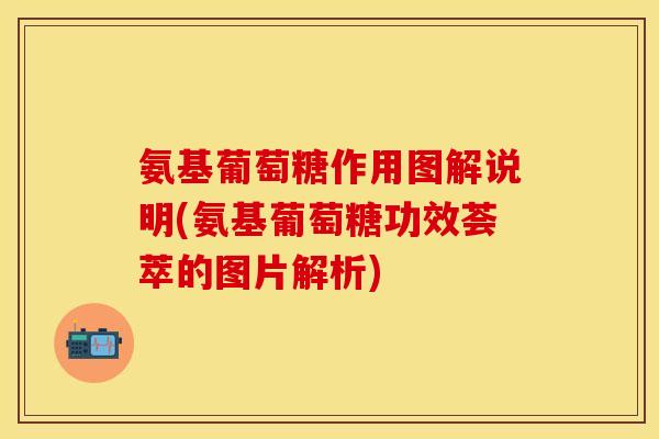氨基葡萄糖作用图解说明(氨基葡萄糖功效荟萃的图片解析)