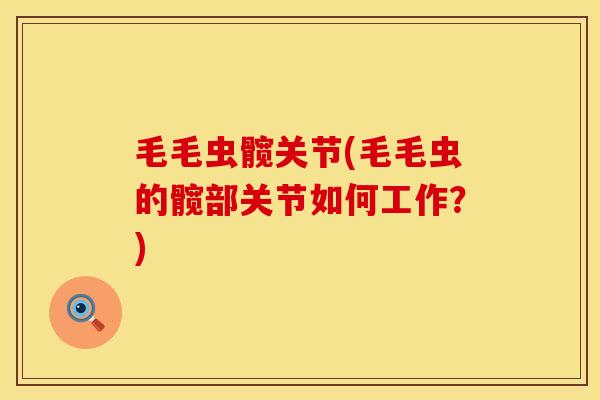 毛毛虫髋关节(毛毛虫的髋部关节如何工作？)
