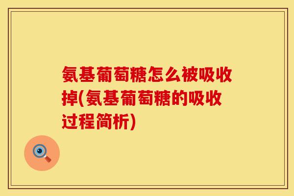 氨基葡萄糖怎么被吸收掉(氨基葡萄糖的吸收过程简析)