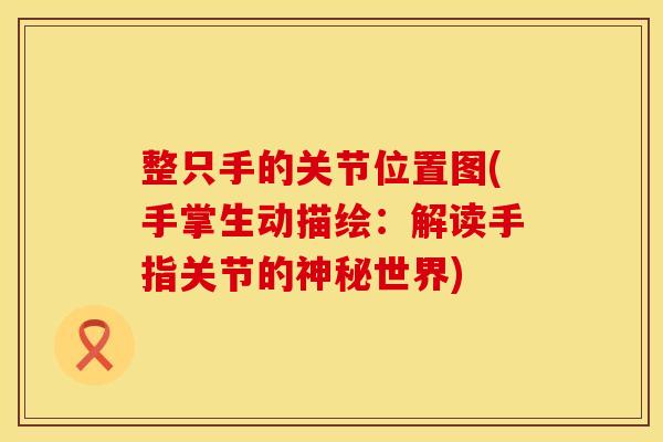 整只手的关节位置图(手掌生动描绘：解读手指关节的神秘世界)