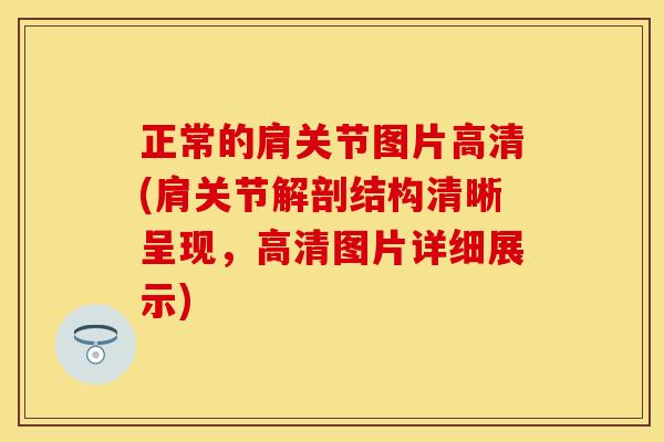 正常的肩关节图片高清(肩关节解剖结构清晰呈现，高清图片详细展示)
