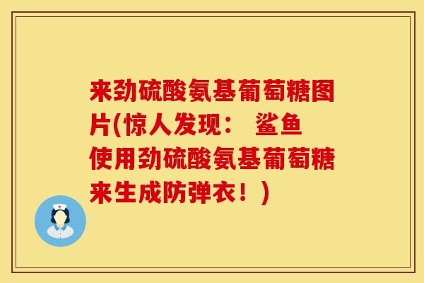 来劲硫酸氨基葡萄糖图片(惊人发现： 鲨鱼使用劲硫酸氨基葡萄糖来生成防弹衣！)