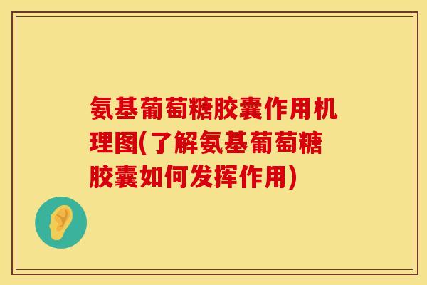 氨基葡萄糖胶囊作用机理图(了解氨基葡萄糖胶囊如何发挥作用)