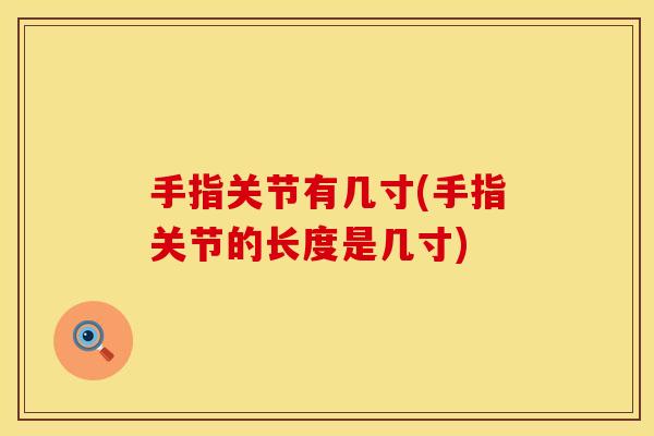 手指关节有几寸(手指关节的长度是几寸)