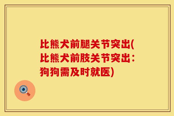 比熊犬前腿关节突出(比熊犬前肢关节突出：狗狗需及时就医)