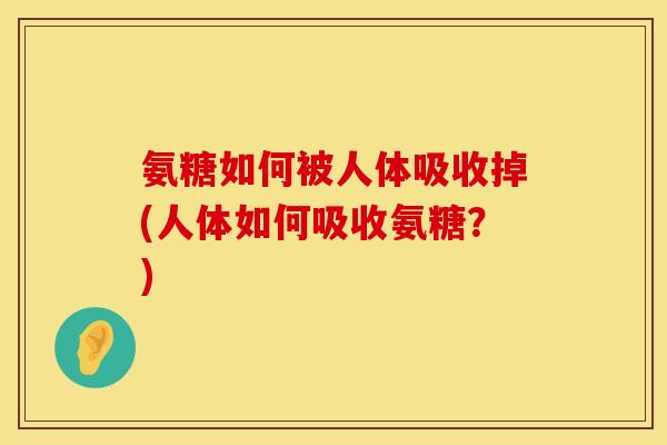 氨糖如何被人体吸收掉(人体如何吸收氨糖？)