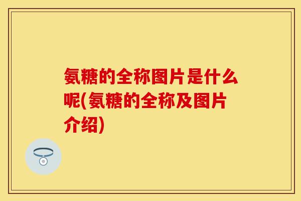 氨糖的全称图片是什么呢(氨糖的全称及图片介绍)