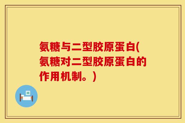 氨糖与二型胶原蛋白(氨糖对二型胶原蛋白的作用机制。)