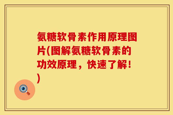 氨糖软骨素作用原理图片(图解氨糖软骨素的功效原理，快速了解！)