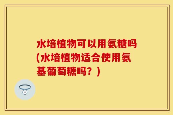 水培植物可以用氨糖吗(水培植物适合使用氨基葡萄糖吗？)