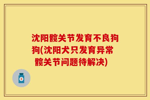 沈阳髋关节发育不良狗狗(沈阳犬只发育异常 髋关节问题待解决)