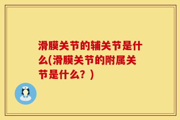 滑膜关节的辅关节是什么(滑膜关节的附属关节是什么？)