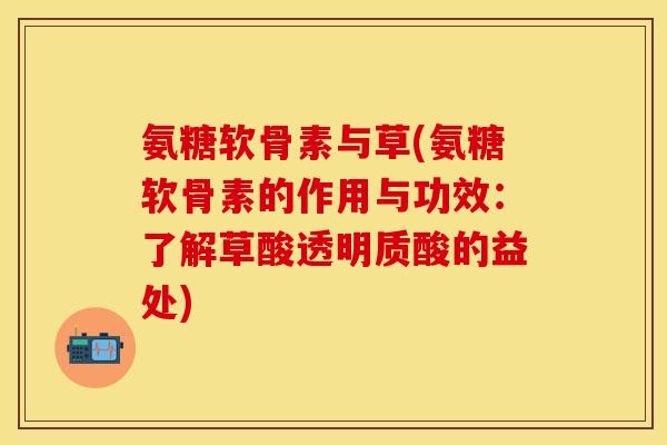 氨糖软骨素与草(氨糖软骨素的作用与功效：了解草酸透明质酸的益处)