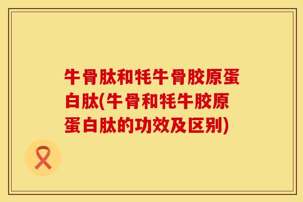 牛骨肽和牦牛骨胶原蛋白肽(牛骨和牦牛胶原蛋白肽的功效及区别)