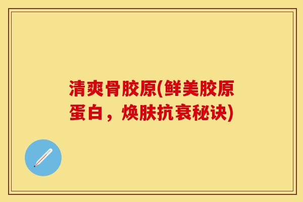 清爽骨胶原(鲜美胶原蛋白，焕肤抗衰秘诀)