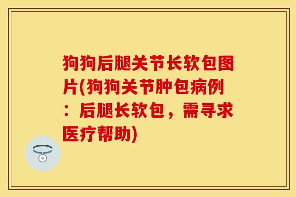 狗狗后腿关节长软包图片(狗狗关节肿包病例：后腿长软包，需寻求医疗帮助)