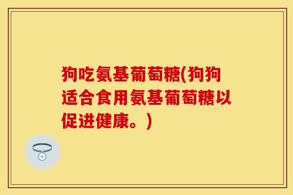 狗吃氨基葡萄糖(狗狗适合食用氨基葡萄糖以促进健康。)