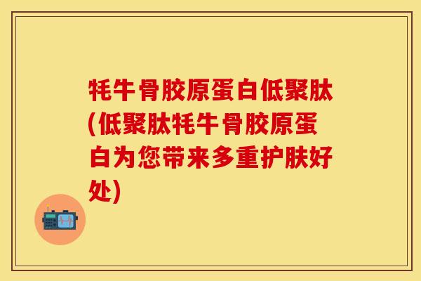 牦牛骨胶原蛋白低聚肽(低聚肽牦牛骨胶原蛋白为您带来多重护肤好处)