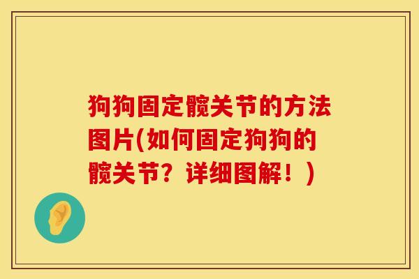 狗狗固定髋关节的方法图片(如何固定狗狗的髋关节?详细图解!) 狗狗固定髋关节的方法图片(如何固定狗狗的髋关节?详细图解!)
