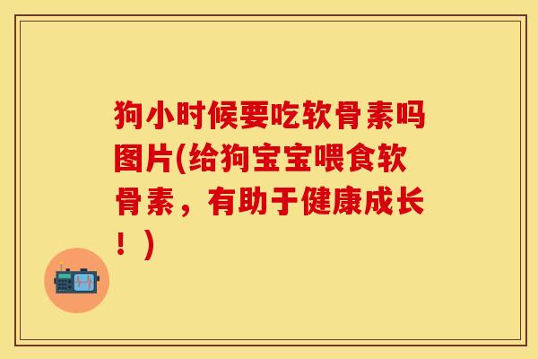 狗小时候要吃软骨素吗图片(给狗宝宝喂食软骨素，有助于健康成长！)
