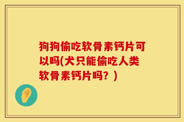 狗狗偷吃软骨素钙片可以吗(犬只能偷吃人类软骨素钙片吗？)