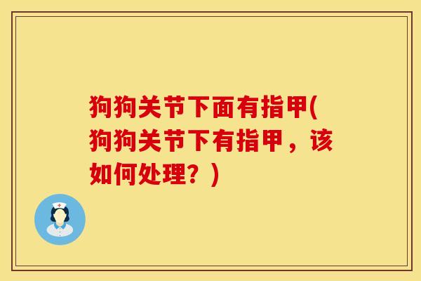 狗狗关节下面有指甲(狗狗关节下有指甲，该如何处理？)
