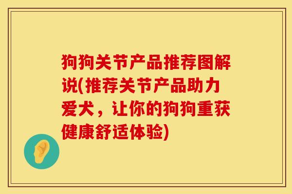 狗狗关节产品推荐图解说(推荐关节产品助力爱犬，让你的狗狗重获健康舒适体验)