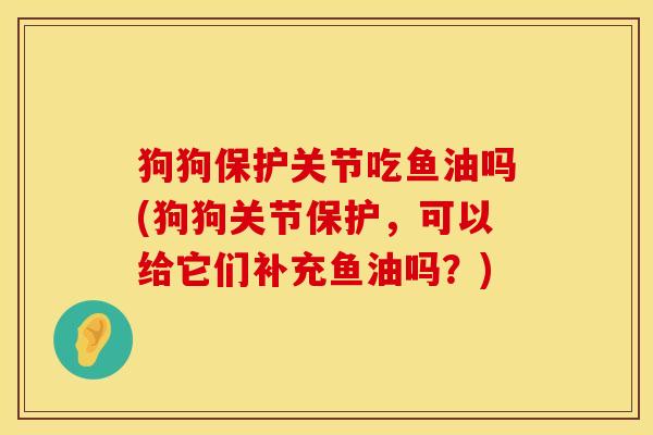 狗狗保护关节吃鱼油吗(狗狗关节保护，可以给它们补充鱼油吗？)