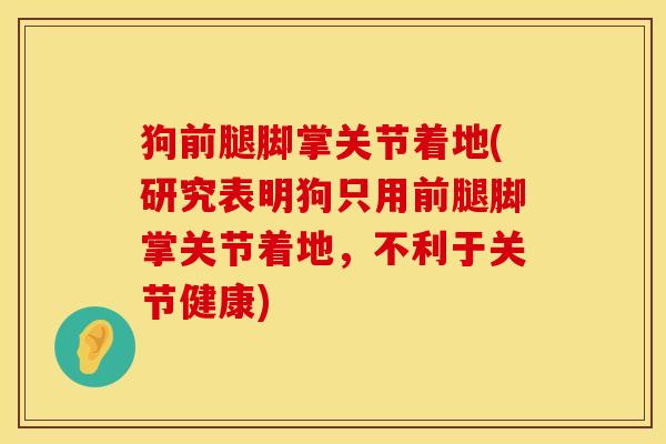 狗前腿脚掌关节着地(研究表明狗只用前腿脚掌关节着地，不利于关节健康)