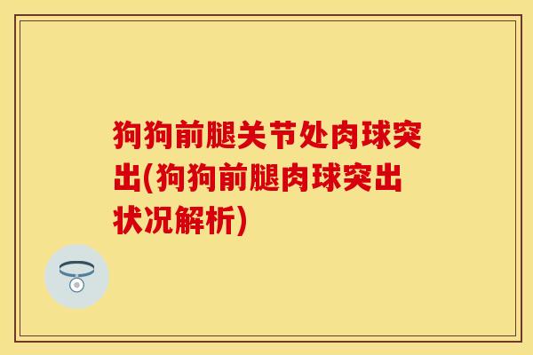 狗狗前腿关节处肉球突出(狗狗前腿肉球突出状况解析)