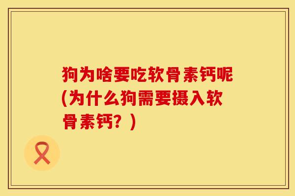 狗为啥要吃软骨素钙呢(为什么狗需要摄入软骨素钙？)