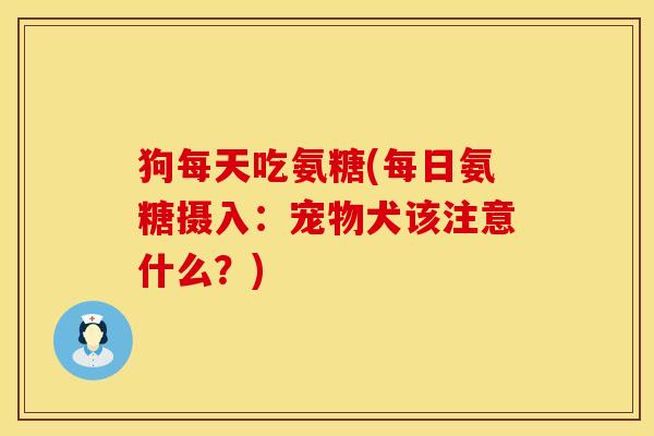 狗每天吃氨糖(每日氨糖摄入：宠物犬该注意什么？)