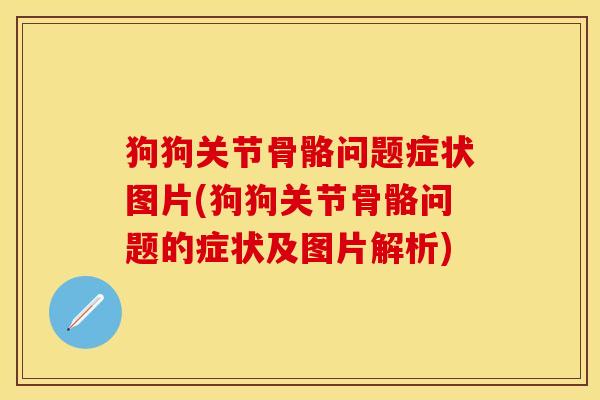 狗狗关节骨骼问题症状图片(狗狗关节骨骼问题的症状及图片解析)