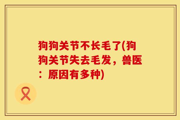 狗狗关节不长毛了(狗狗关节失去毛发，兽医：原因有多种)