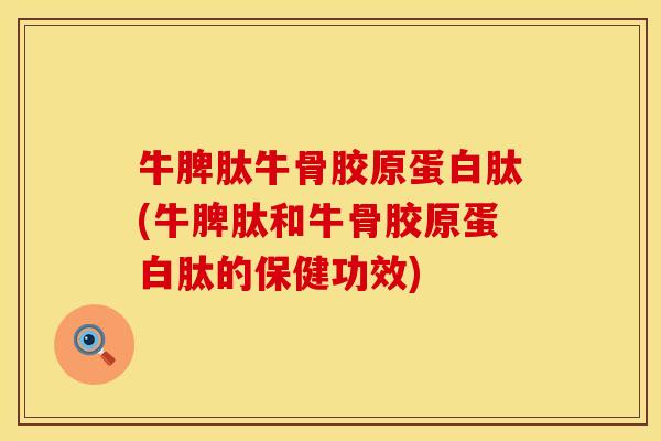 牛脾肽牛骨胶原蛋白肽(牛脾肽和牛骨胶原蛋白肽的保健功效)