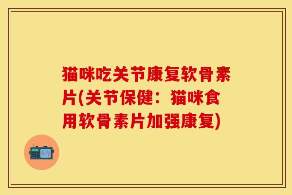 猫咪吃关节康复软骨素片(关节保健：猫咪食用软骨素片加强康复)