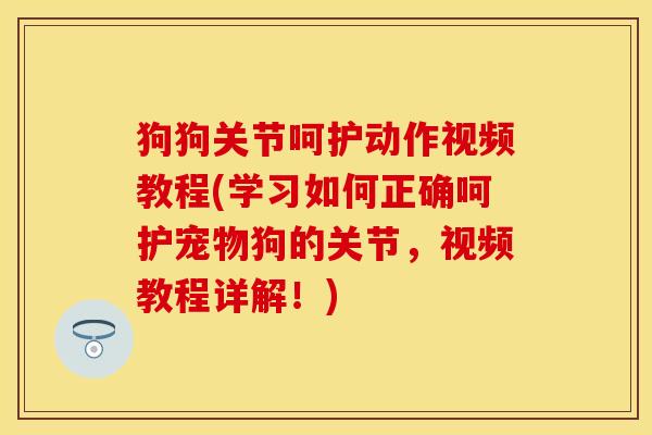 狗狗关节呵护动作视频教程(学习如何正确呵护宠物狗的关节，视频教程详解！)